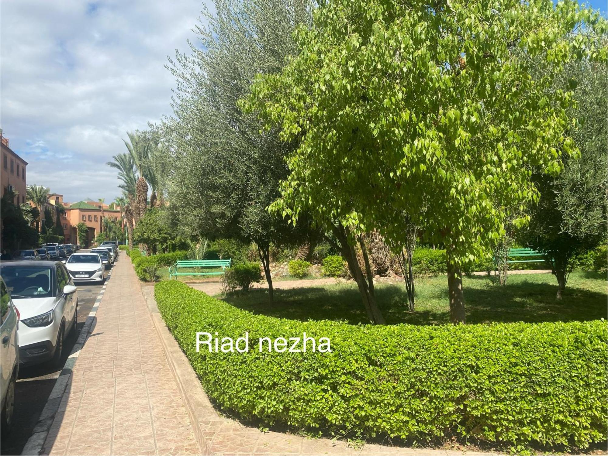 Riad Nezha Avec Jacuzzi Et 3 Piscines Au Coeur De Marrakesh Eksteriør billede